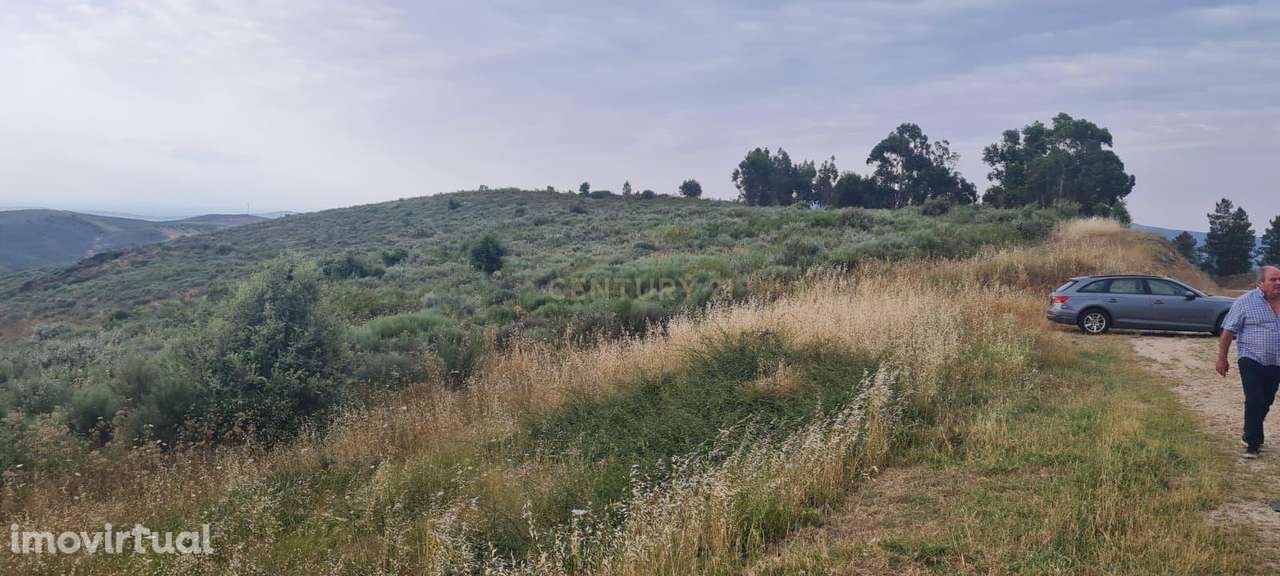 TERRENO EM VILA FLOR - A 4 km do Centro da Vila - Grande imagem: 2/5