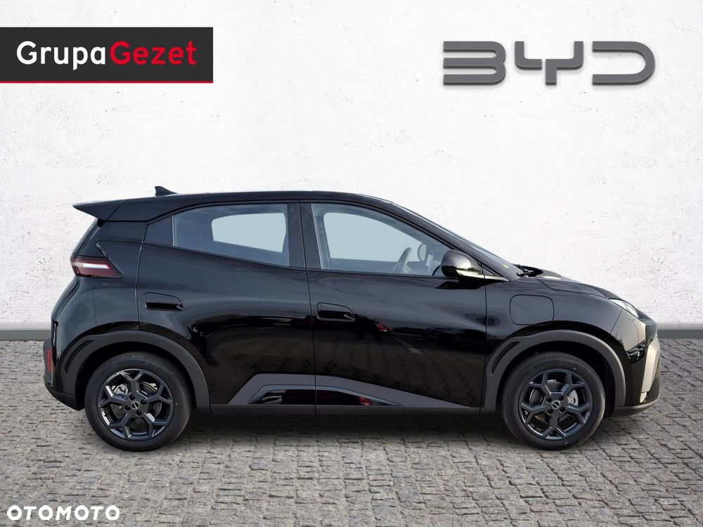 BYD Dolphin Surf - 6