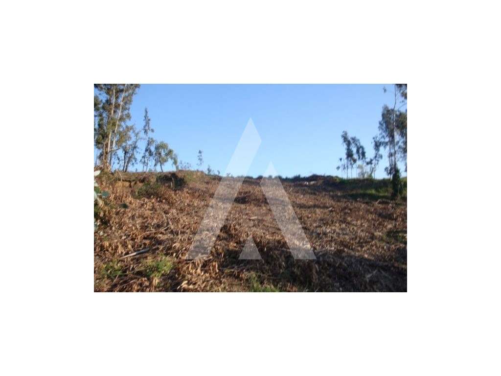 Terreno - Grande imagem: 2/5