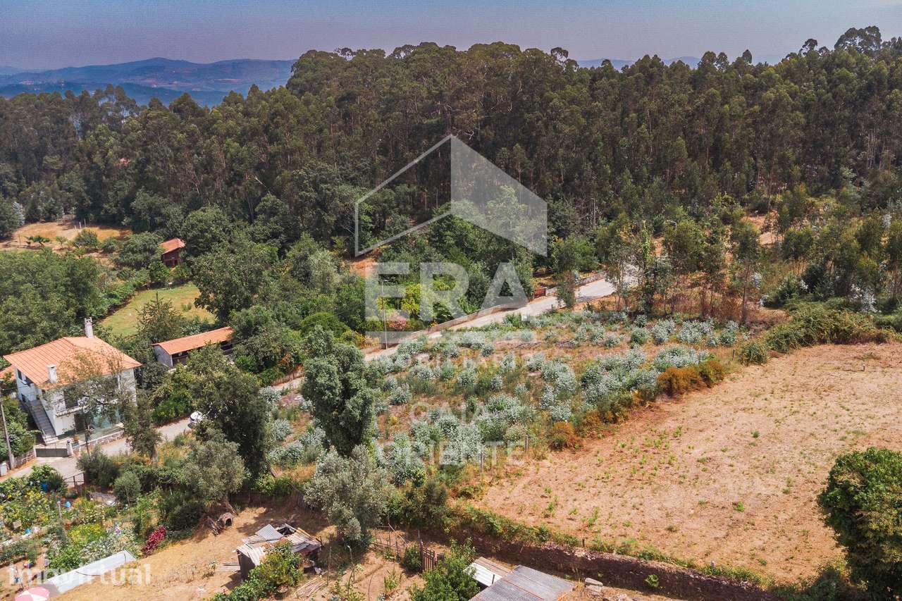 Terreno para construção em Olival - Grande imagem: 3/8