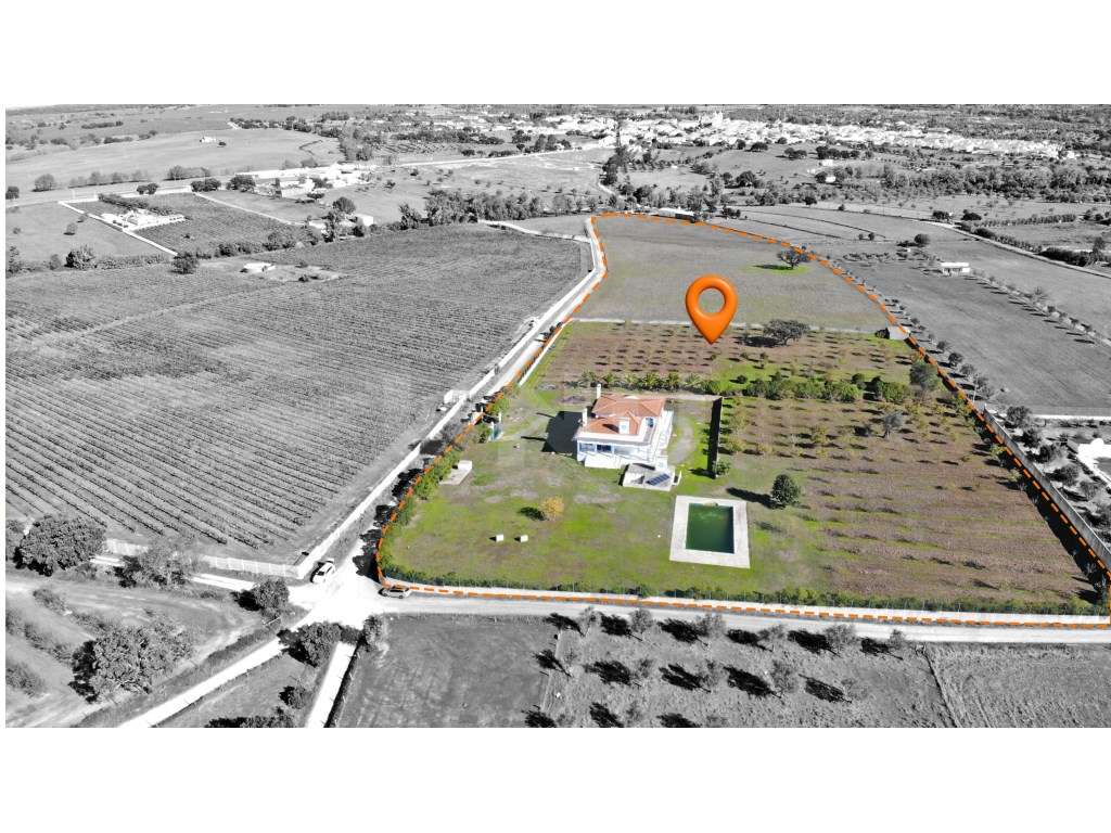 Quinta com 4,8 hectares e casa T9 em Vila Nova da Baronia - Grande imagem: 3/60
