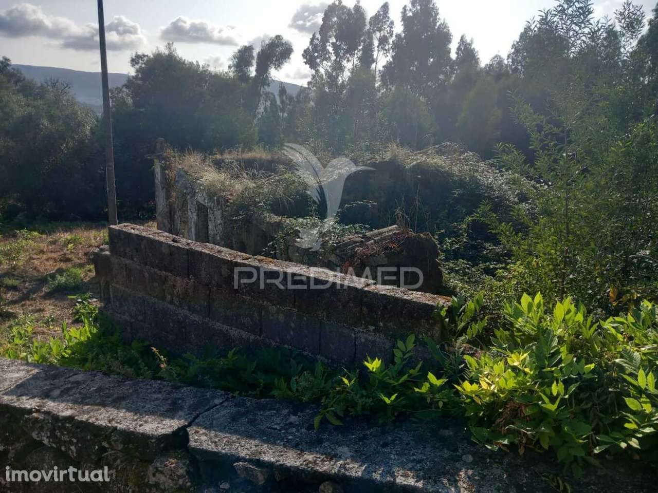 Ruina com excelente terreno - Grande imagem: 2/21