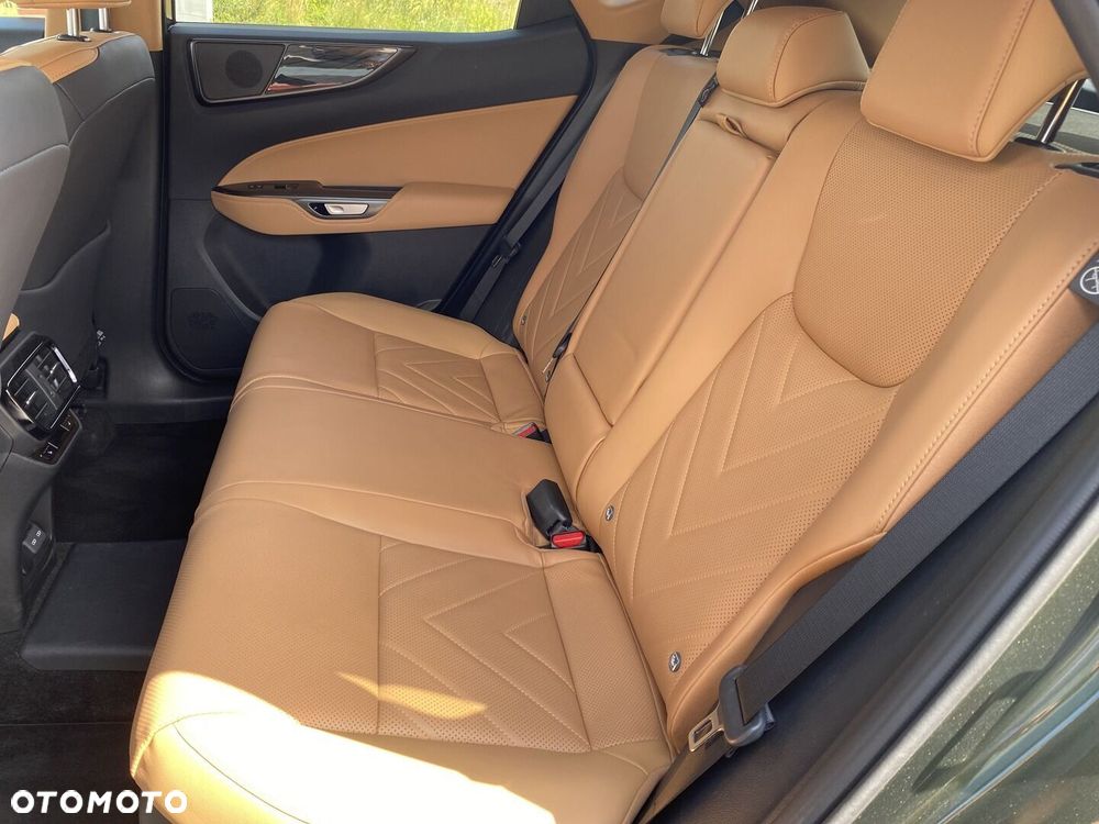 Lexus NX - 20