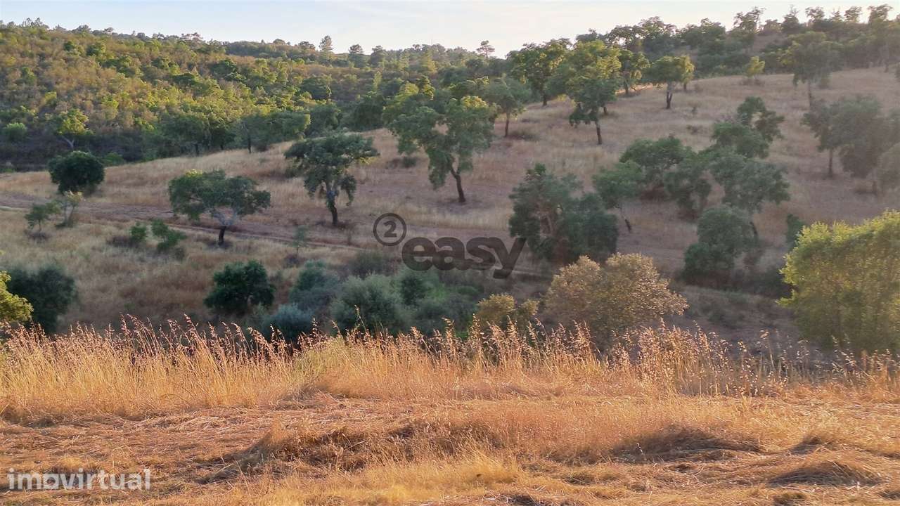 TERRENO RÚSTICO COM 6,82 Hectares em Alqueva com Ruína e Poço - Grande imagem: 2/14