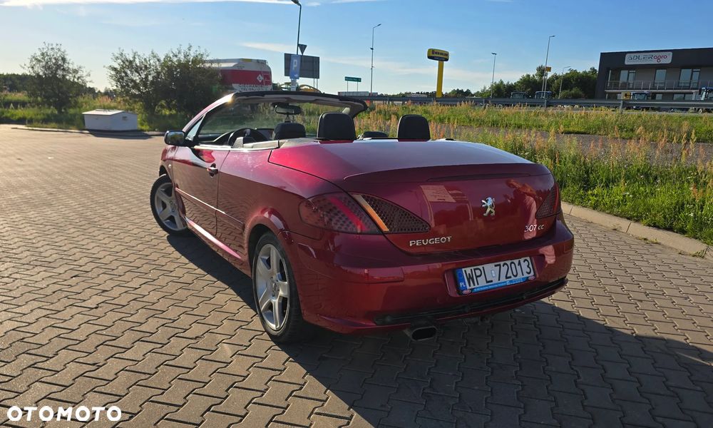 Peugeot 307 2.0 Sporty - 10