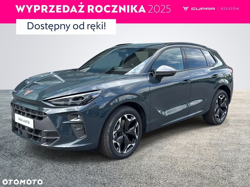 Cupra Terramar - 1
