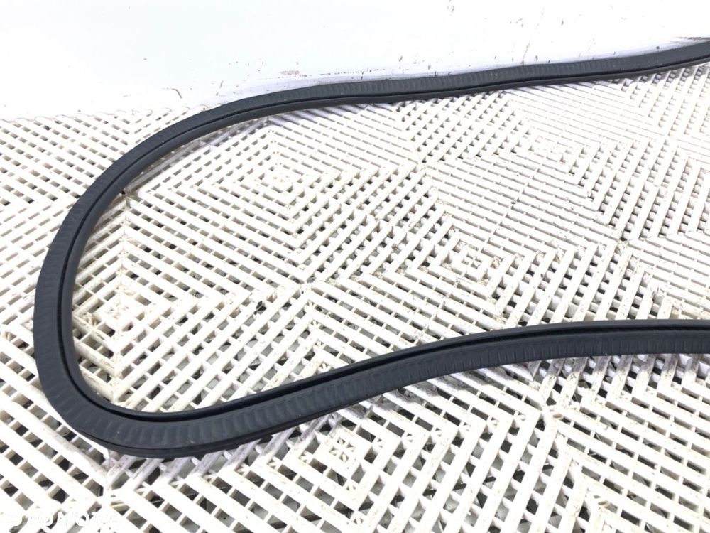 USZCZELKA DRZWI PRZÓD LEWA - 115.00 PLN - BMW 5 (G30, F90) 2016 - 2022 540 i Mild-Hybrid xDrive 245 - 4