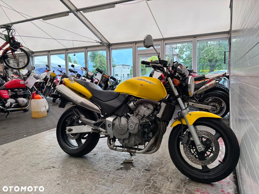 Honda Hornet - 10