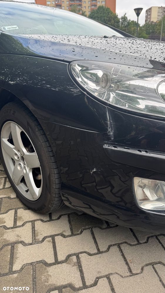 Peugeot 407 2.0 HDI SV Executive EU4 - 17