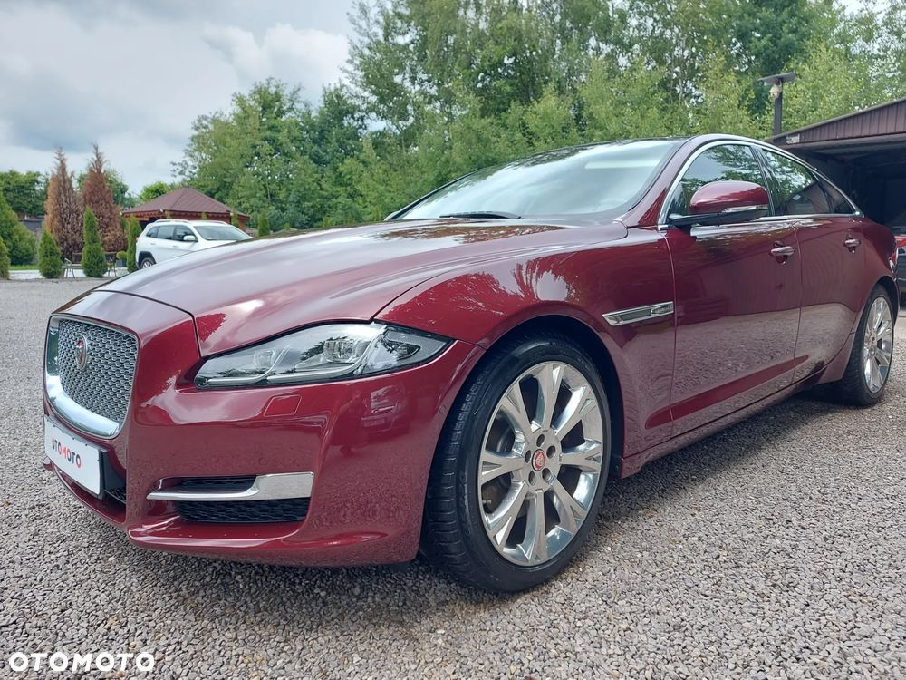 Jaguar XJ 3.0 V6 Premium Luxury - 2