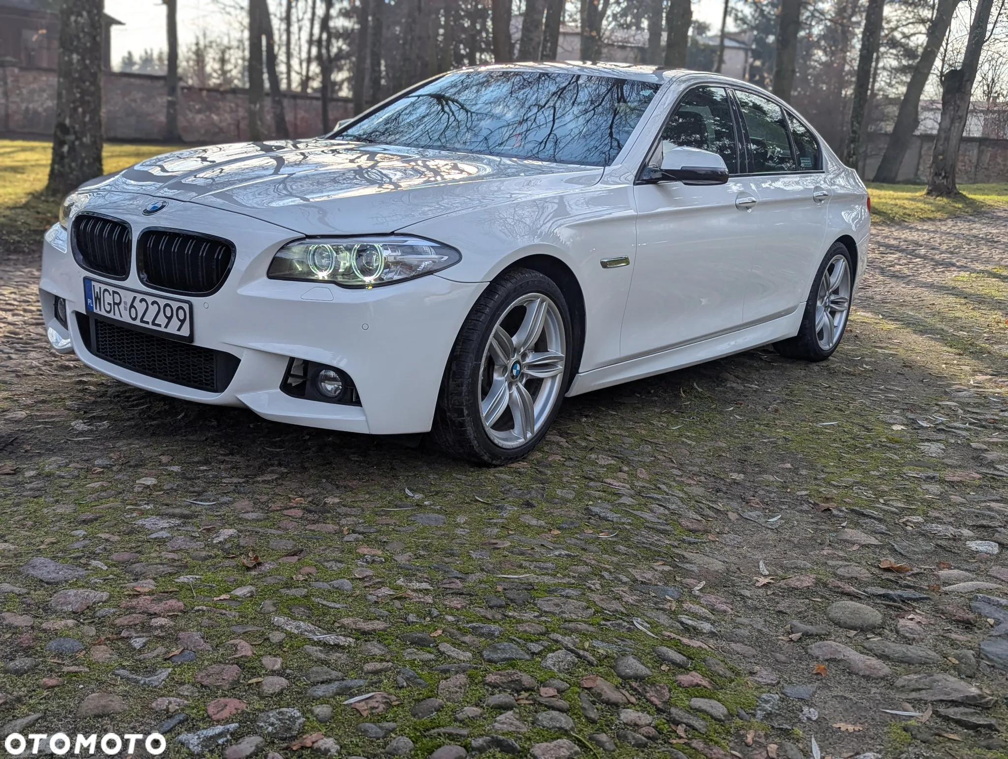BMW Seria 5 - 4