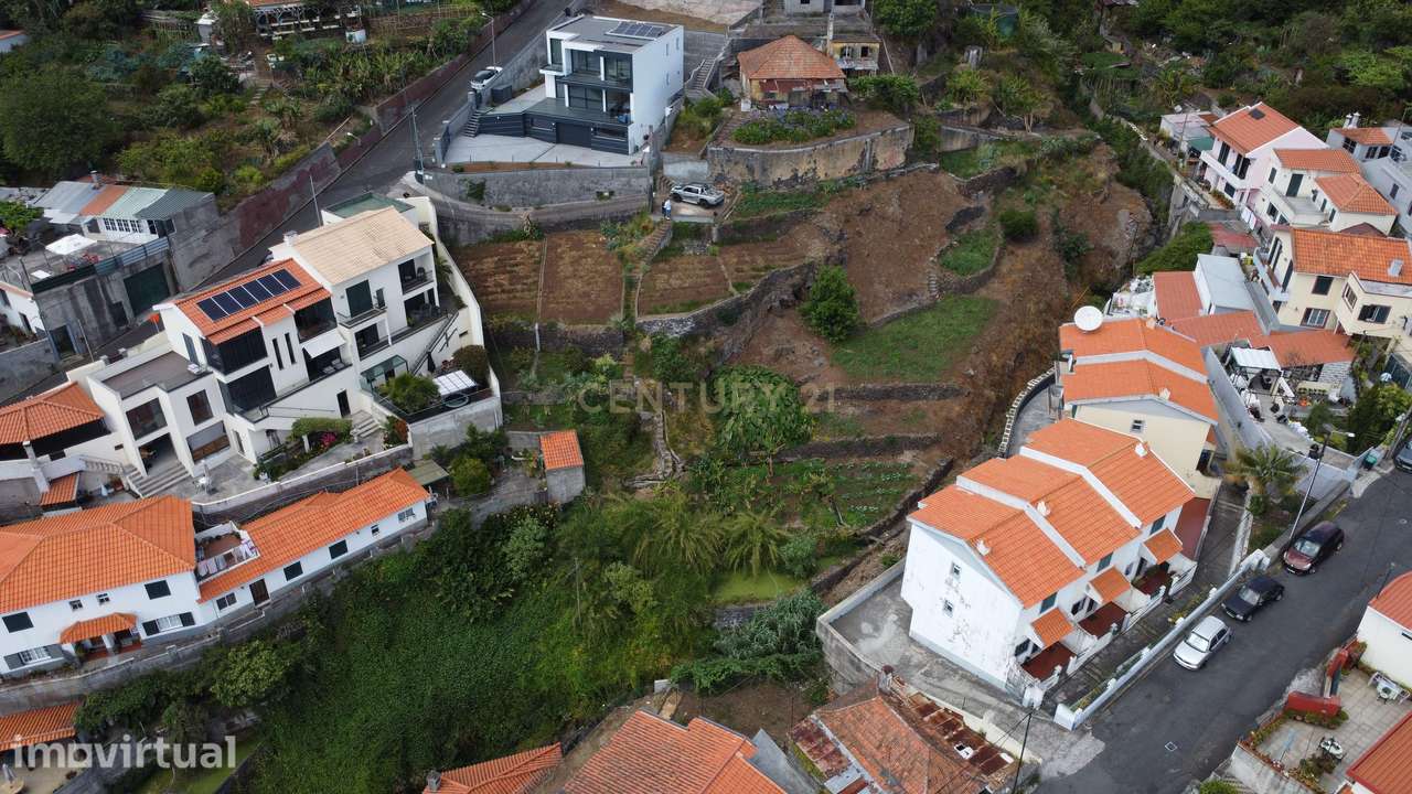 Terreno com Vista sobre o Funchal - Livramento - Monte - Grande imagem: 4/6