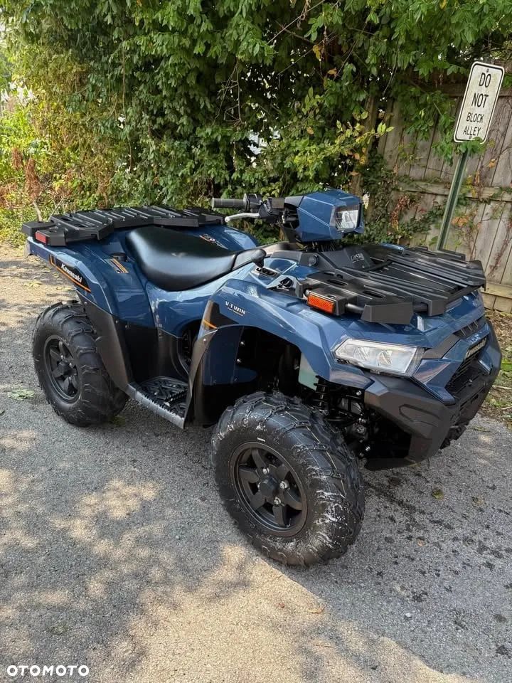 Kawasaki Brute Force - 7