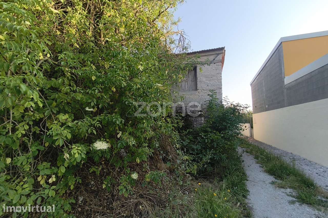 Moradia para reconstrução com terreno de 2500 m2, Lombomeão, Vagos - Grande imagem: 3/15
