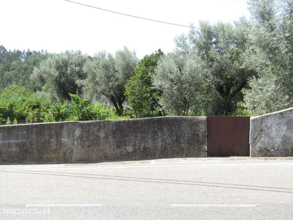 Lote da Tapada, Sardoal - Grande imagem: 3/12
