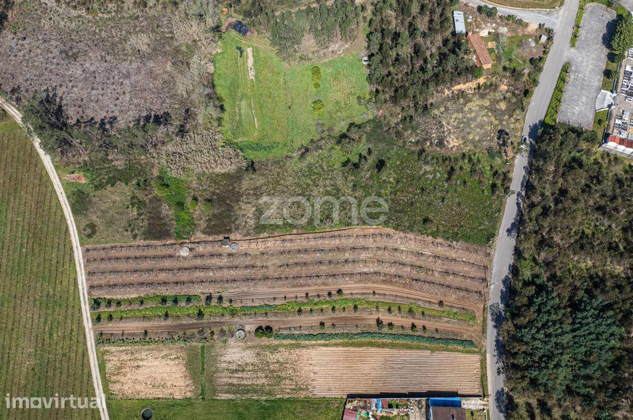 Terreno Urbanizável c/ 67m de frente em Anadia - Grande imagem: 2/15