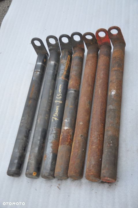 SWORZEŃ DŁ. 75 CM GRUB. 65 MM - 3