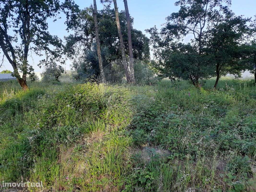 Terreno  para venda - Grande imagem: 2/4