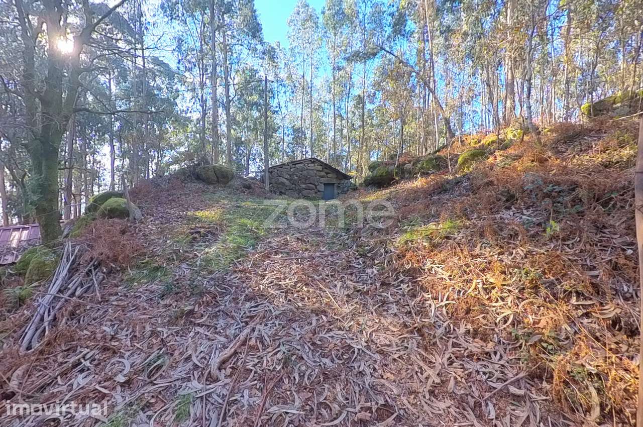 Terreno com Corte de Chão de Castro* - Grande imagem: 2/16