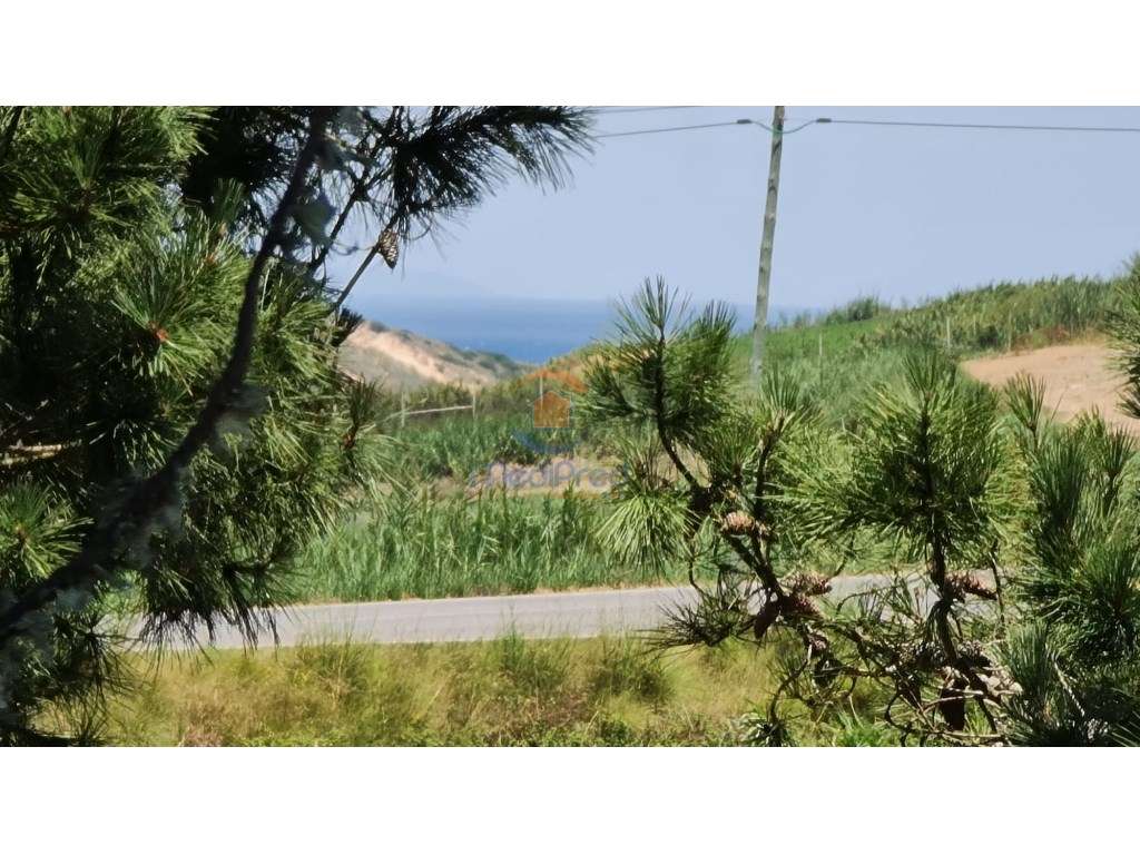 Terreno agrícola com 2 hectares | Bombardeira, Torres Vedras - Grande imagem: 5/8