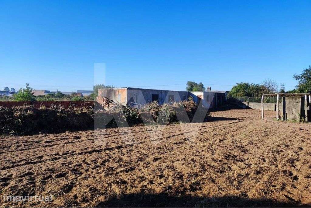 Lote de Terreno Urbano com 1276m2- Entre Cacia e Paço - Grande imagem: 2/8