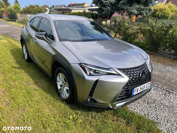 Lexus UX 250h GPF Business 2WD
