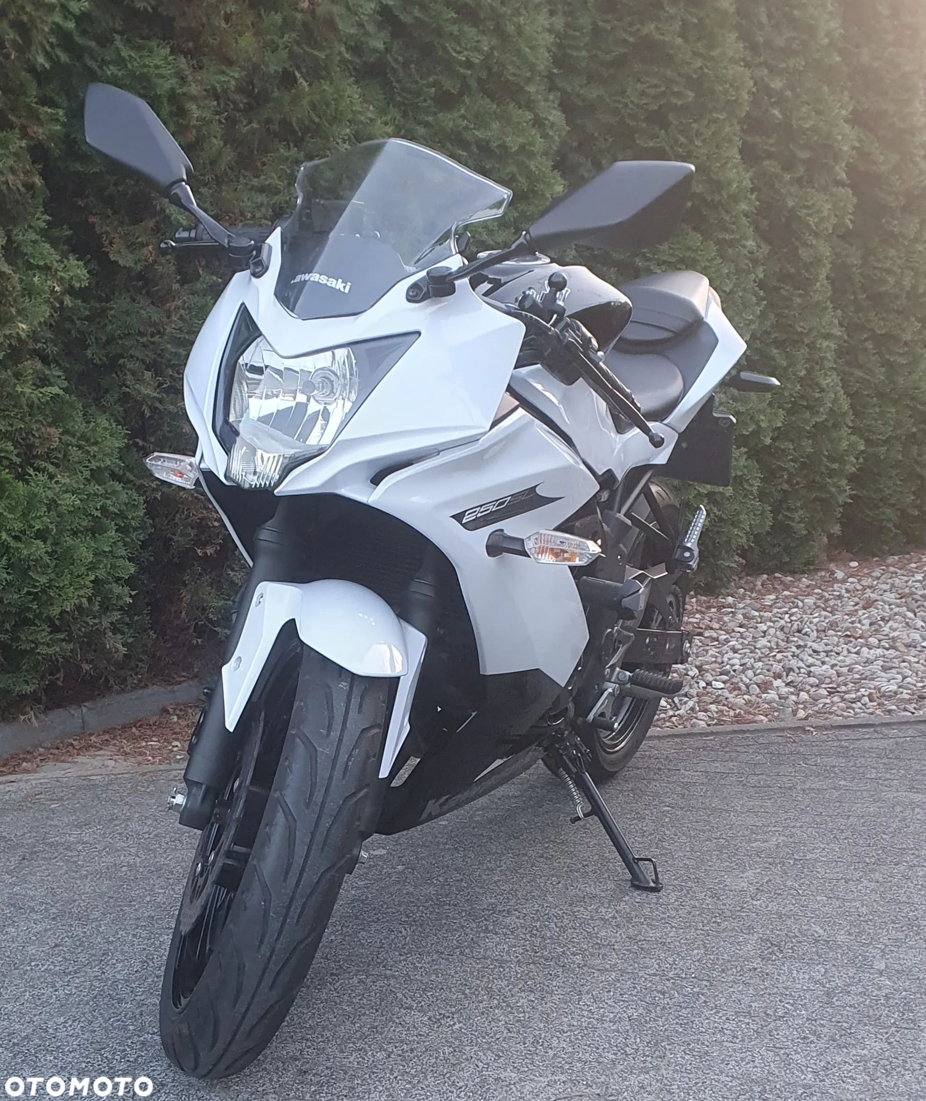 Kawasaki Ninja 250R - 3