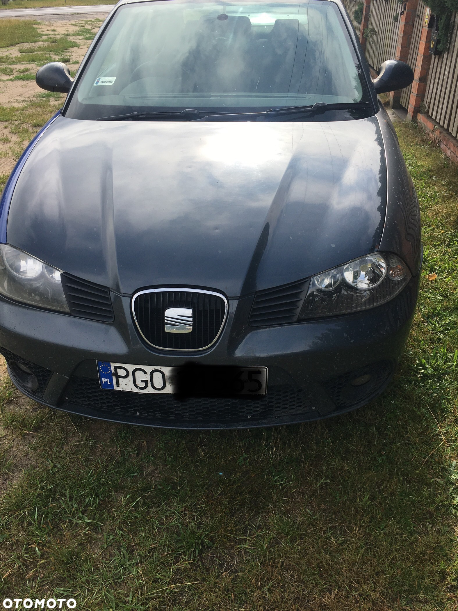 Seat Ibiza - 6