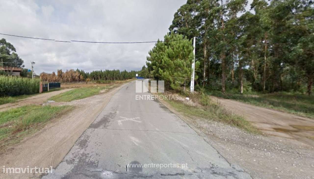 Venda de Terreno agro-florestal com 29000 m2, Laúndos, Póvoa de Varz - Grande imagem: 2/4