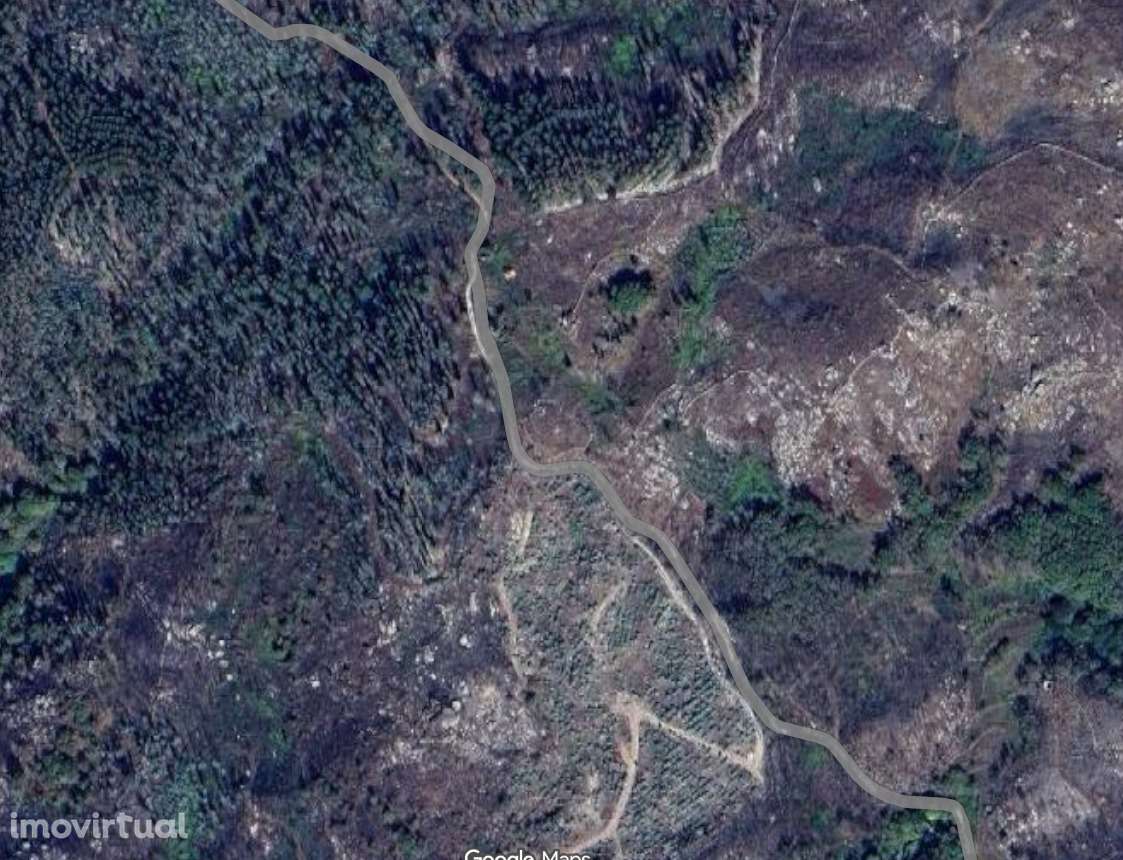 Terreno com casa agrícola Amarante encosta Serra do Marão - Grande imagem: 3/3