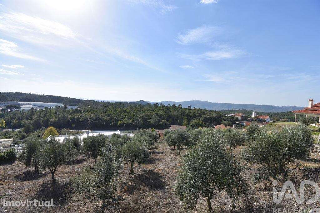 Terreno para construção em São Miguel, Santa Eufémia e Rabaçal - Grande imagem: 4/12