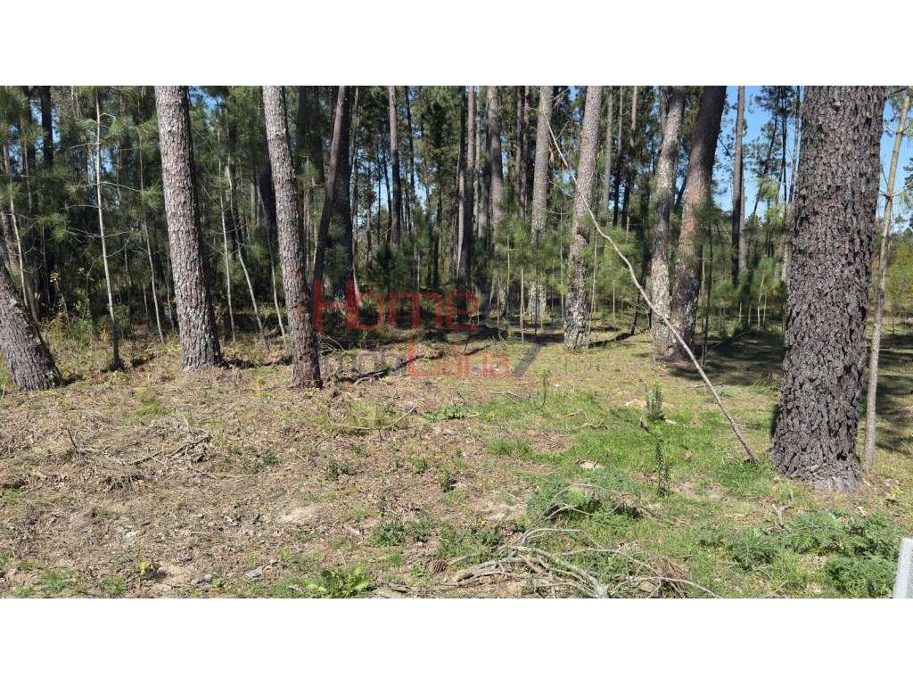 Terrenos em S. João de Lourosa, Viseu - Grande imagem: 3/36