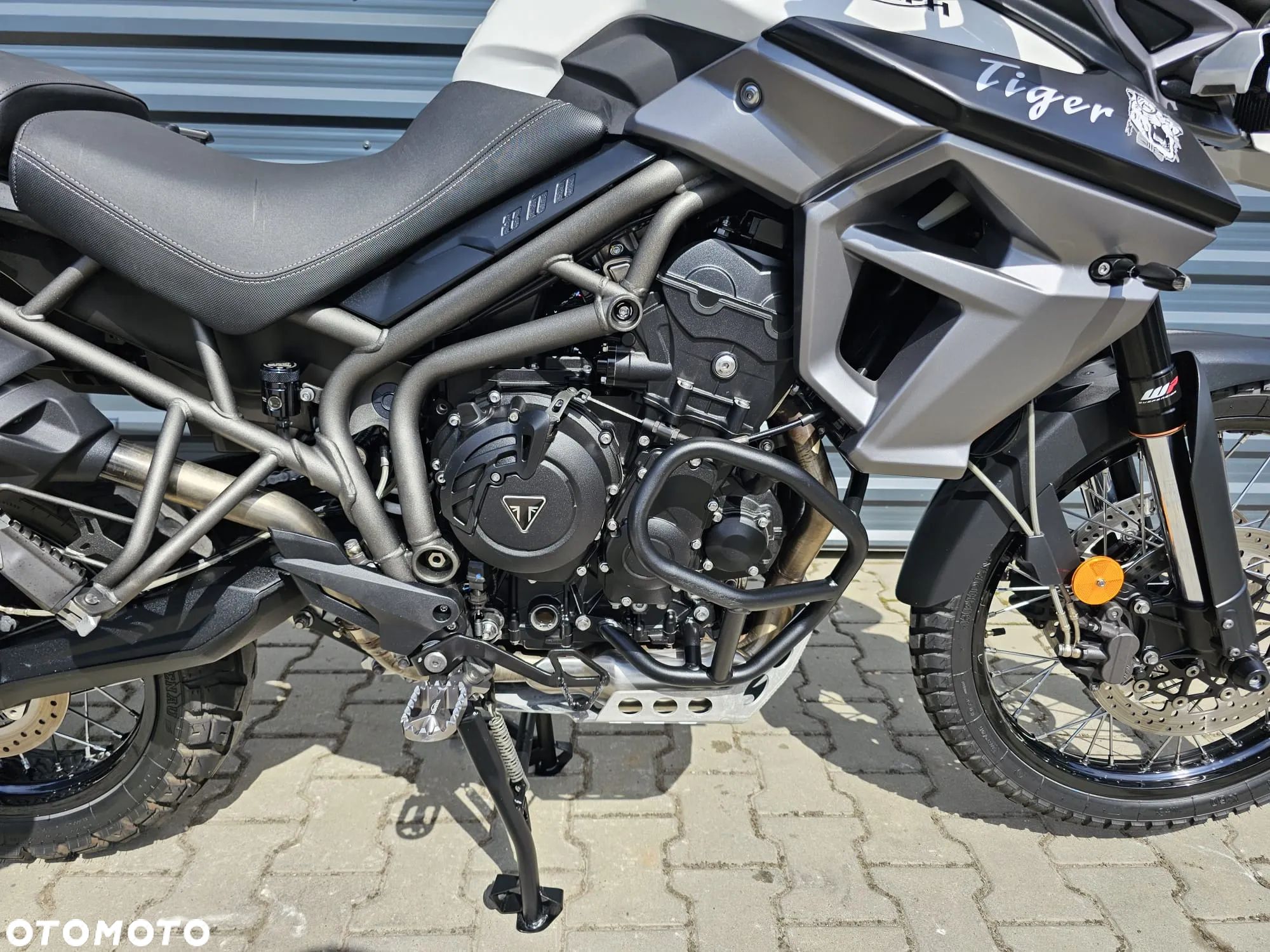 Triumph Tiger