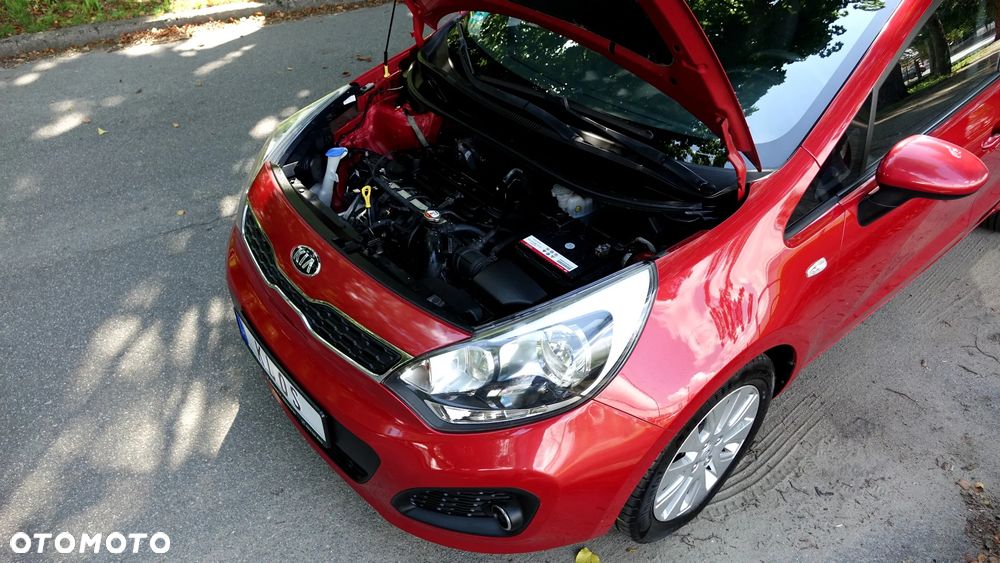 Kia Rio - 25