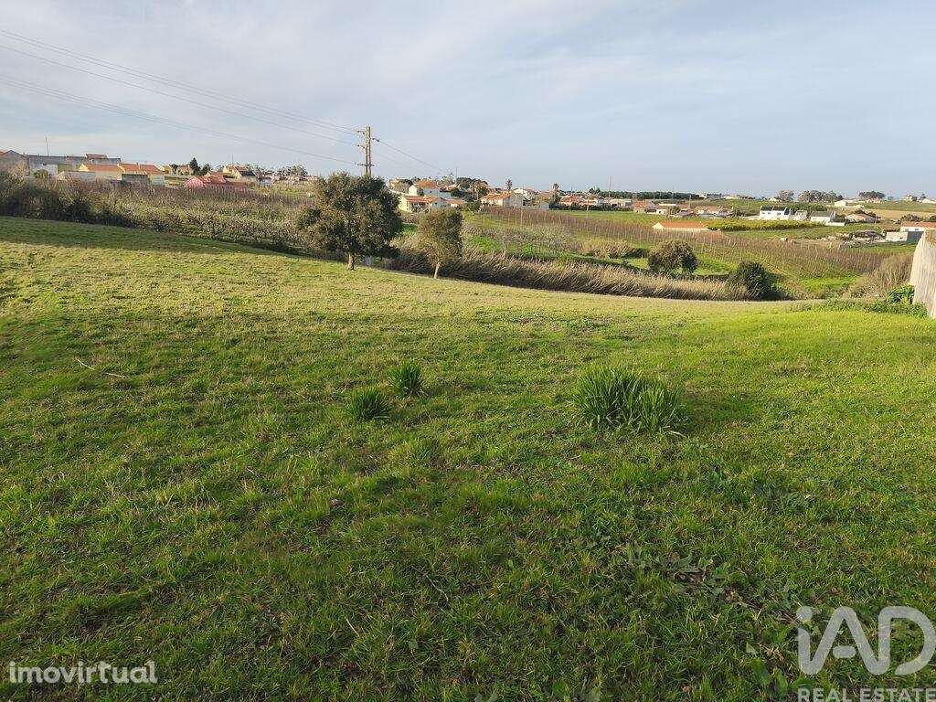 Terreno Agrícola em Cela - Grande imagem: 5/13