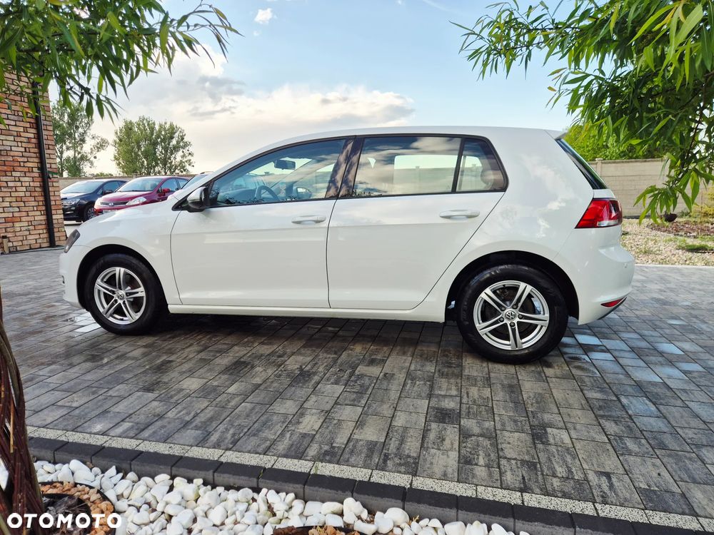 Volkswagen Golf - 15