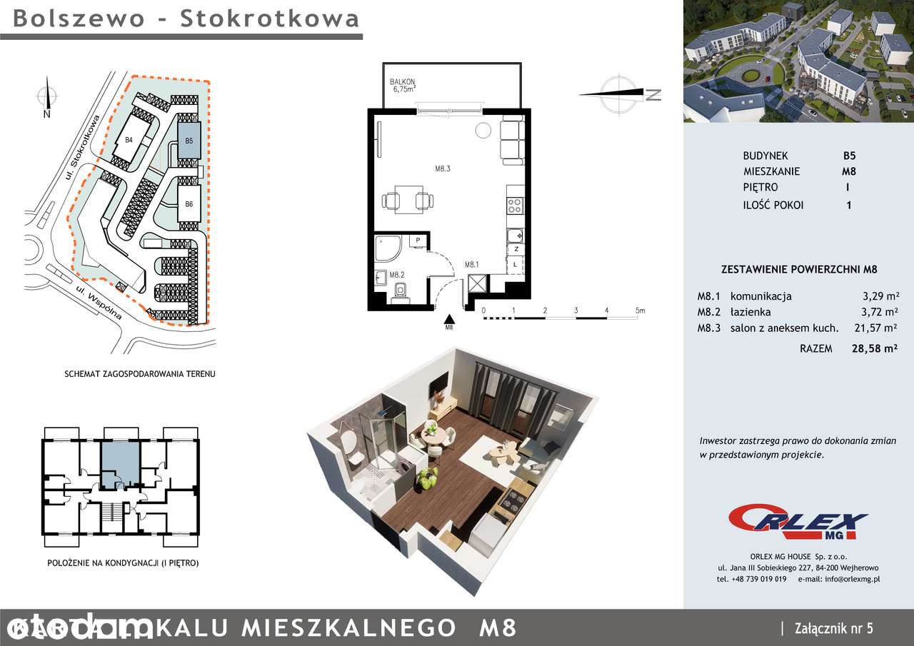 Bolszewo Stokrotkowa