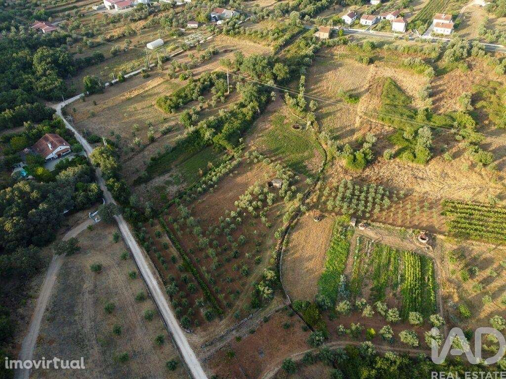 Terreno em Areias e Pias de 4160,00 m2 - Grande imagem: 3/30