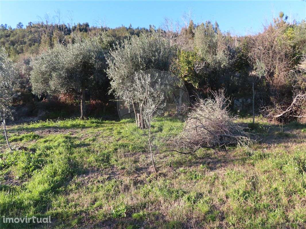 Quinta T0 para venda - Grande imagem: 4/36