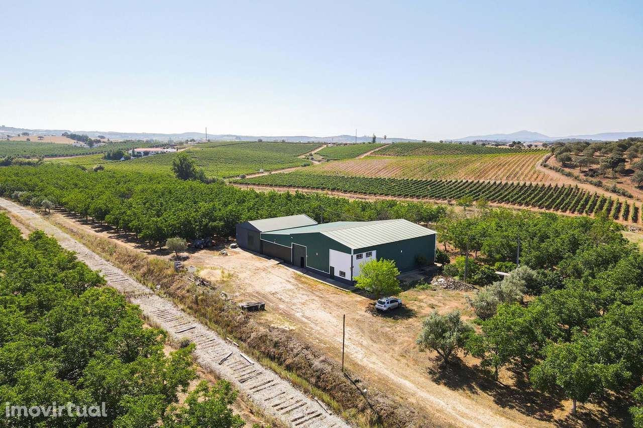 PIP Aprovado - Hotel Rural 4 estrelas - Grande imagem: 2/16