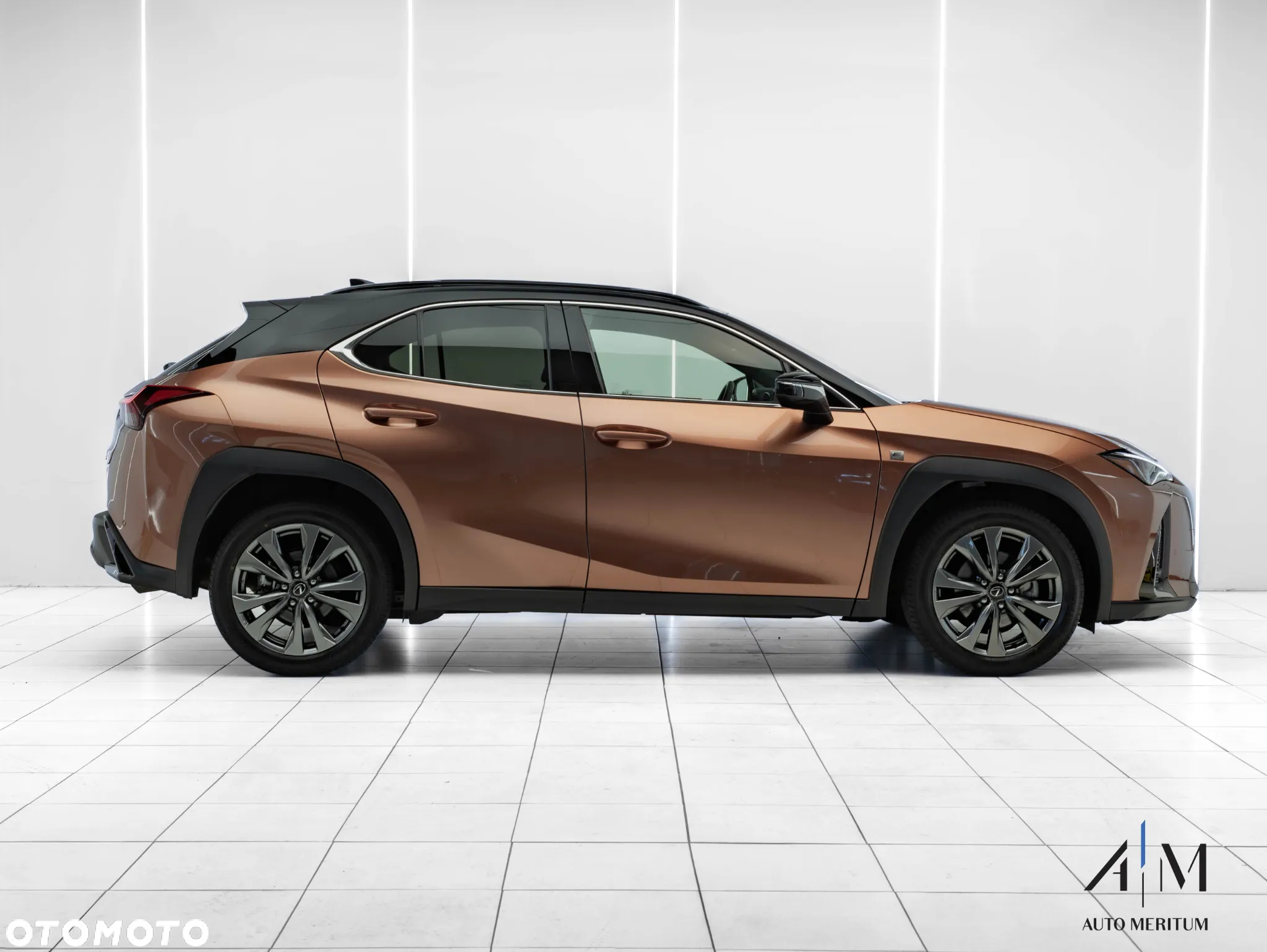 Lexus UX 300h F Sport Design AWD - 5
