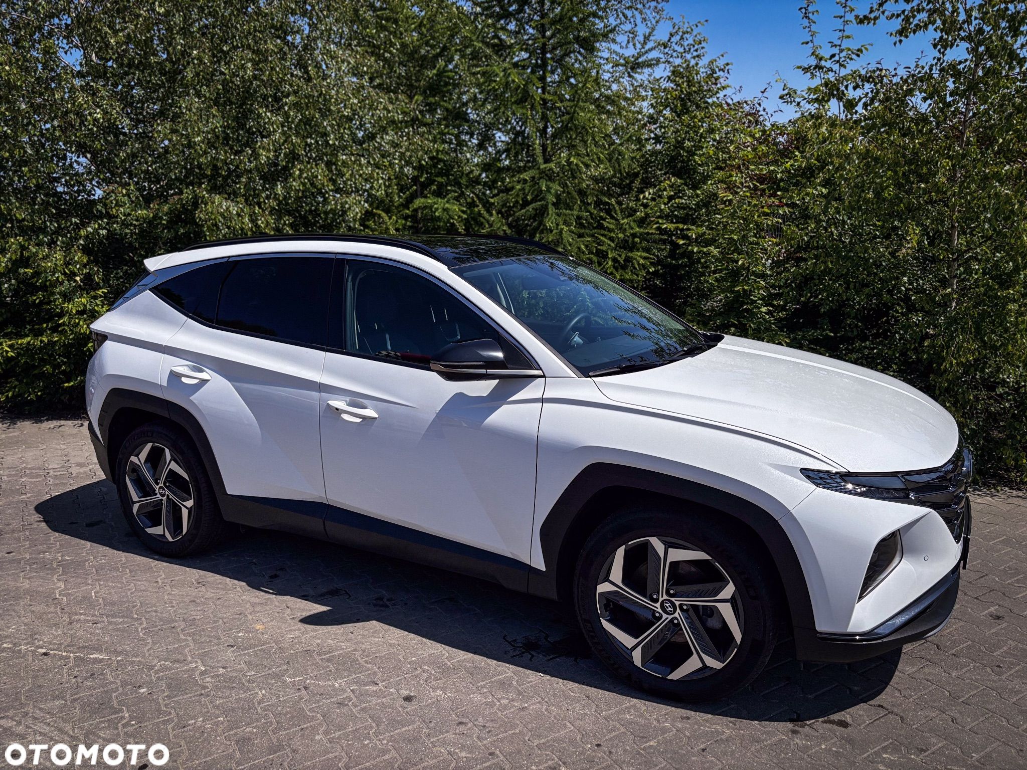 Hyundai Tucson 1.6 T-GDi HEV Platinum 2WD - 1