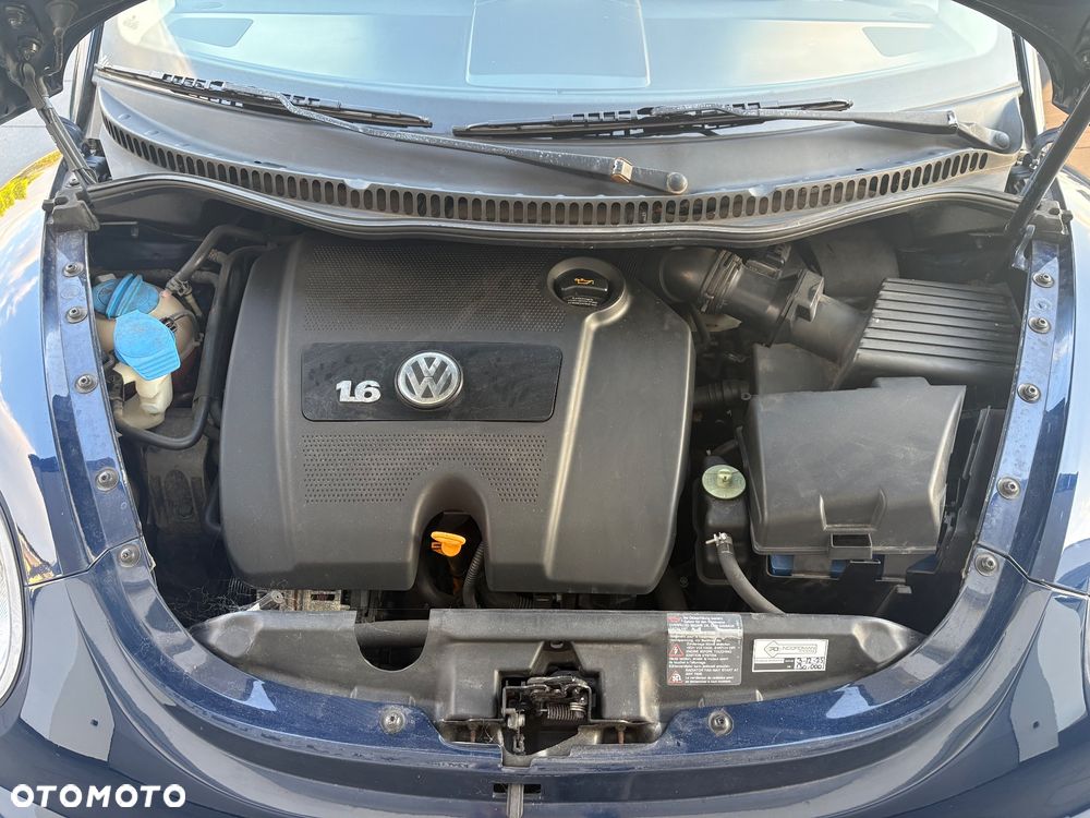 Volkswagen Beetle - 27