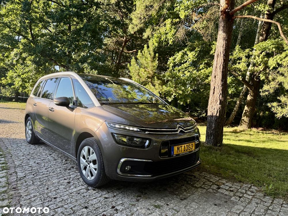 Citroën C4 Grand Picasso BlueHDi 120 Business Class - 10