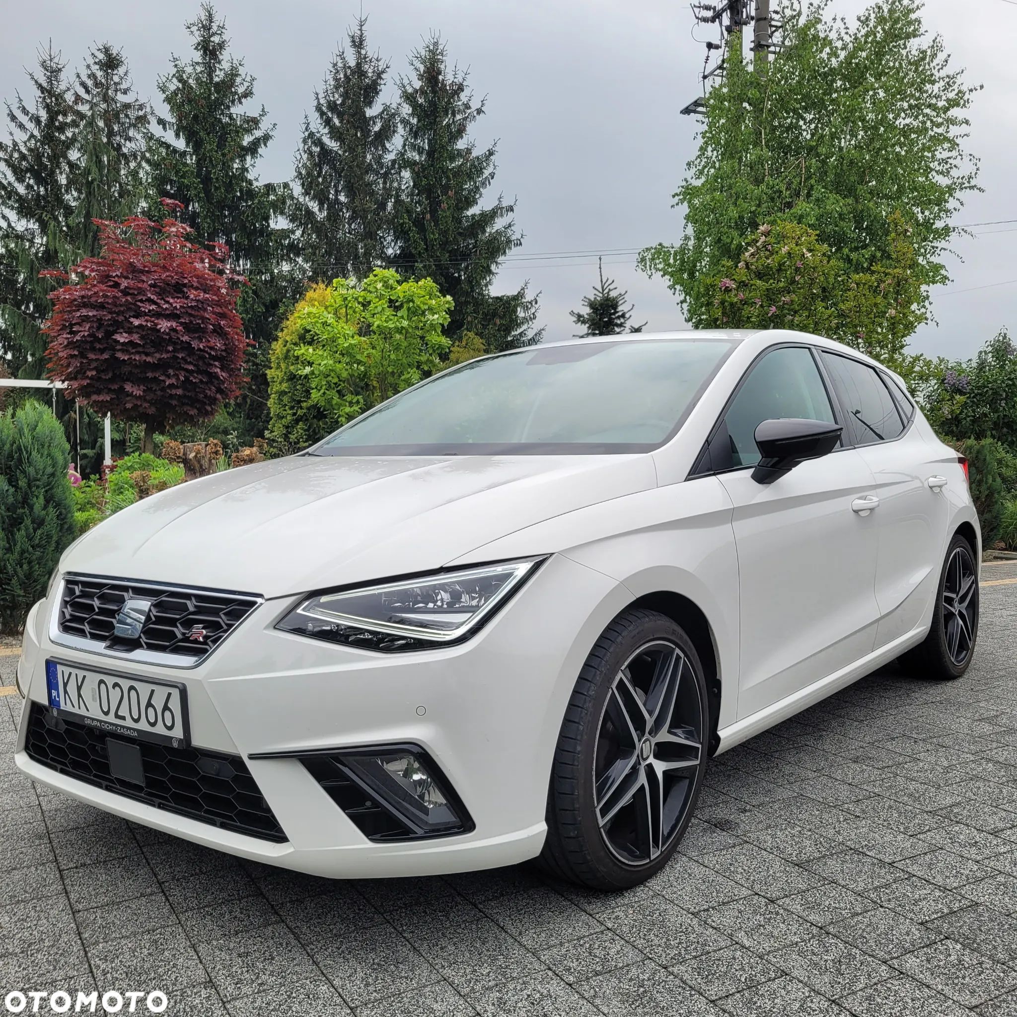 Seat Ibiza 1.5 TSI FR EVO S&S - 1