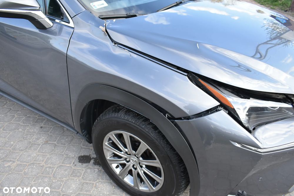 Lexus NX 300h Elite 2WD - 10