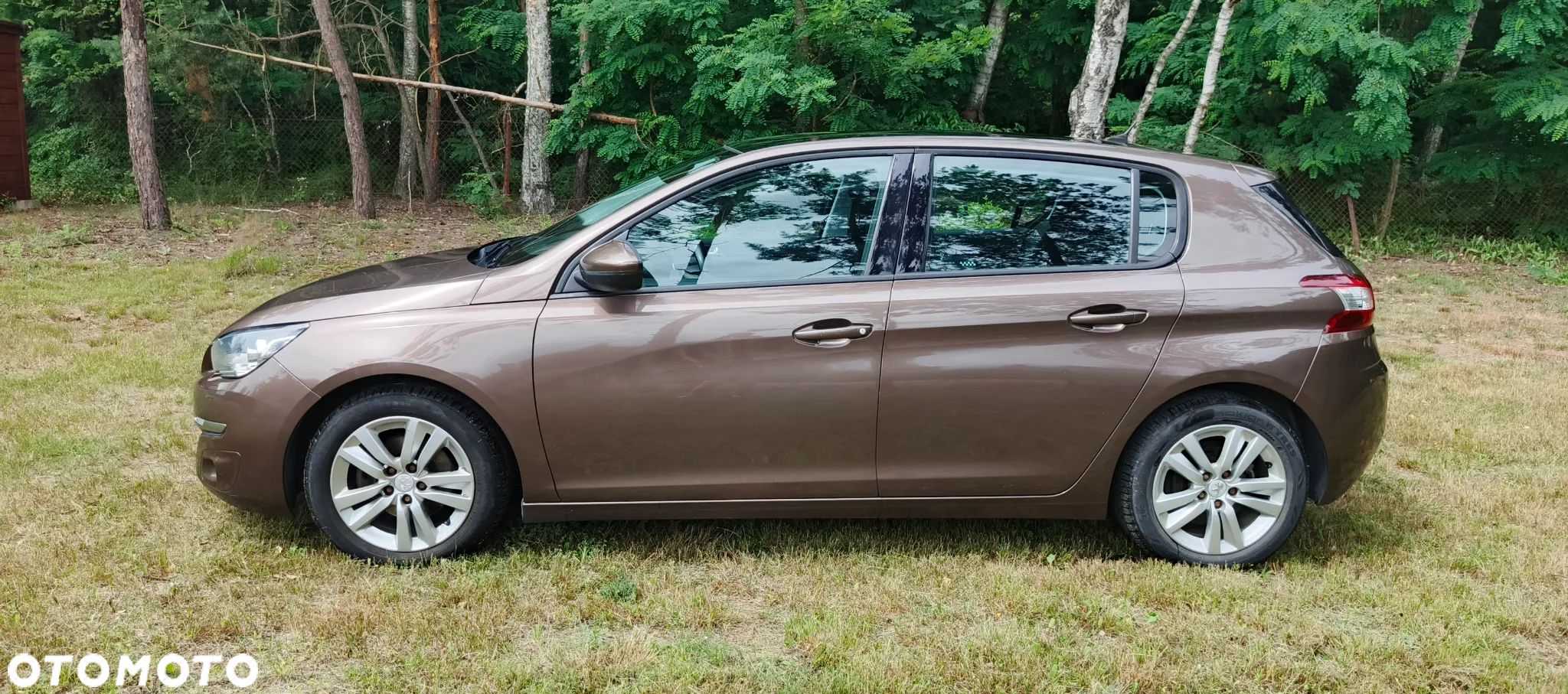 Peugeot 308 - 1