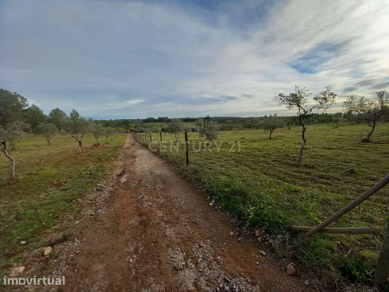 Quinta na localidade do Ninho do Açor - Grande imagem: 2/23