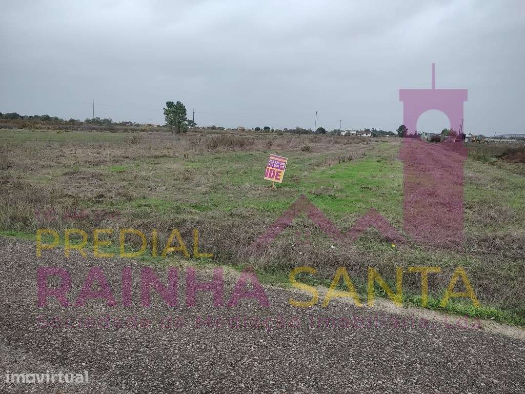 Terreno rustico COM POÇO E ELETRICIDADE NO TERRENO-Alpiarça - Grande imagem: 5/7