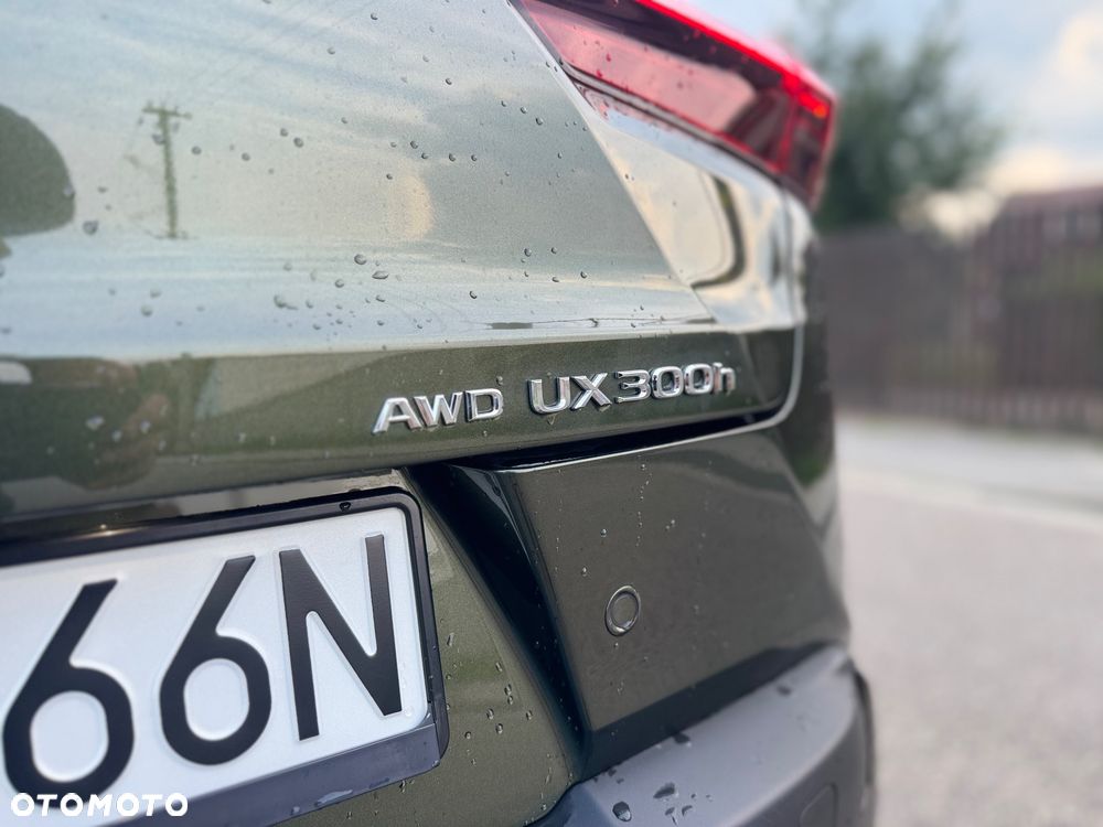 Lexus UX 300h F Sport AWD - 1